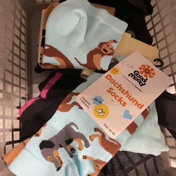 Verpakking met drie paar dachshund-sokken in verschillende kleuren met vrolijke prints