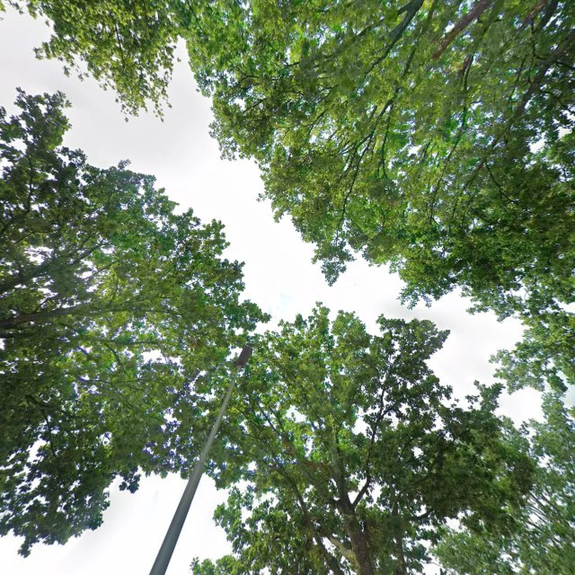 Kringloopwinkel Kringloopwinkel Het Goeie Gevoel in Vroomshoop
