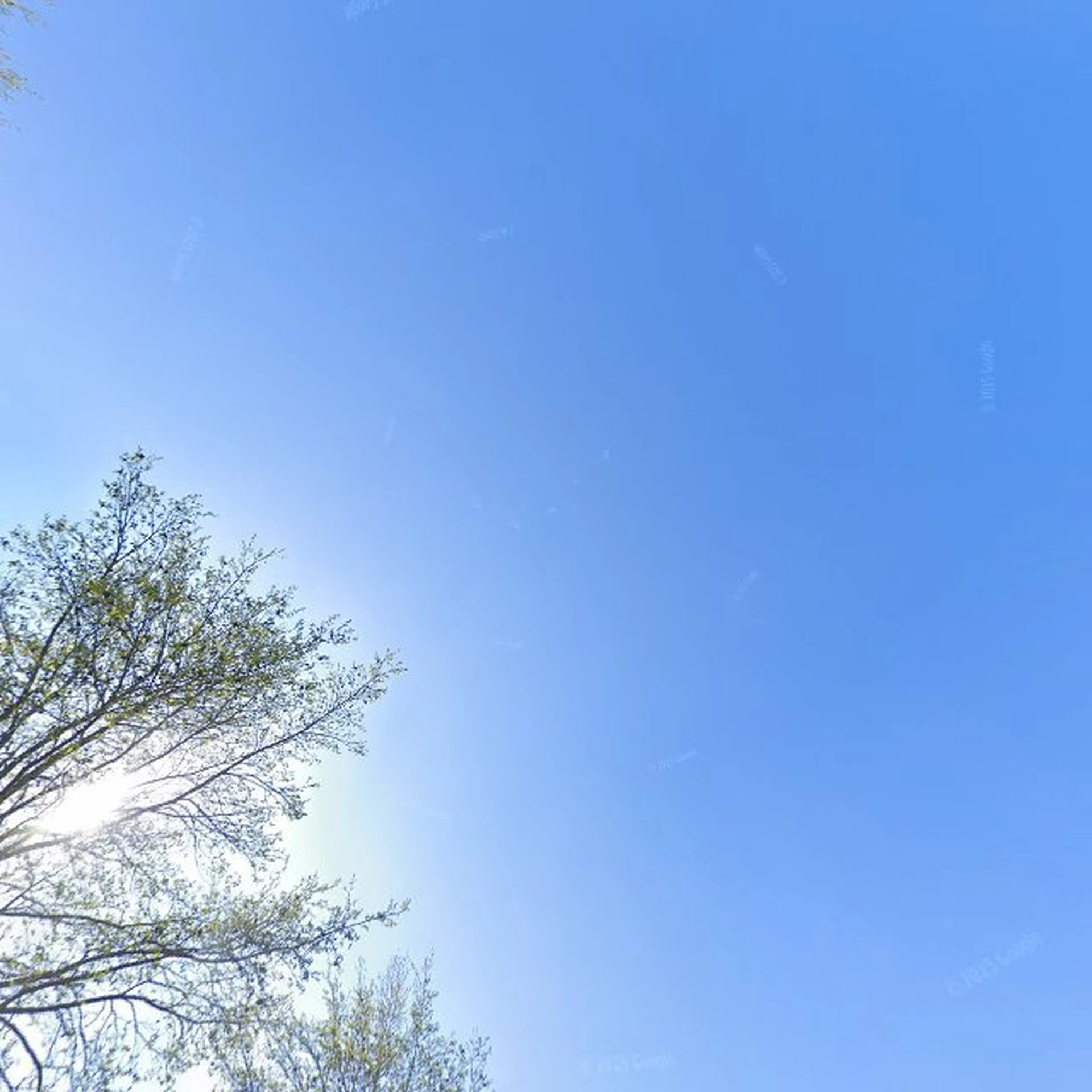 Kringloopwinkel Kringloopwinkel Hollands Kroon in Anna Paulowna