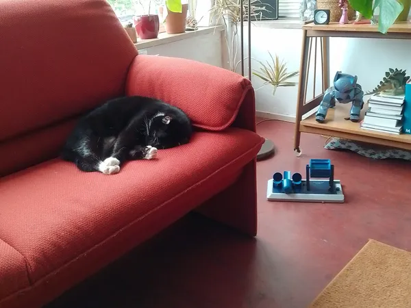 Zithoek met rode bank en een zwart-wit kat, boeken en decoratiestukken op de achtergrond