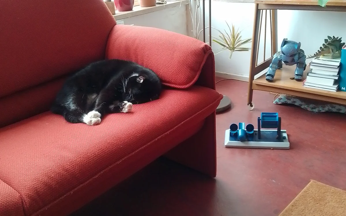 Zithoek met rode bank en een zwart-wit kat, boeken en decoratiestukken op de achtergrond