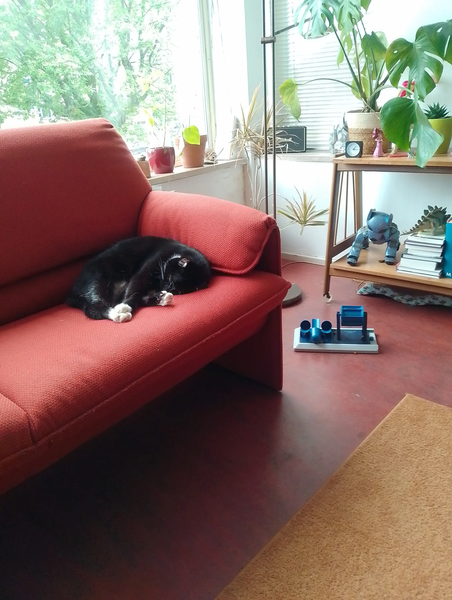 Zithoek met rode bank en een zwart-wit kat, boeken en decoratiestukken op de achtergrond