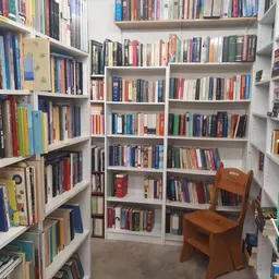 Boekenrekken langs wanden in een hoekruimte met houten stoel, kringloopwinkel met gevarieerd aanbod boeken