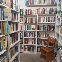Boekenrekken langs de muren van een kringloopwinkel met honderden tweedehands boeken en een houten stoel