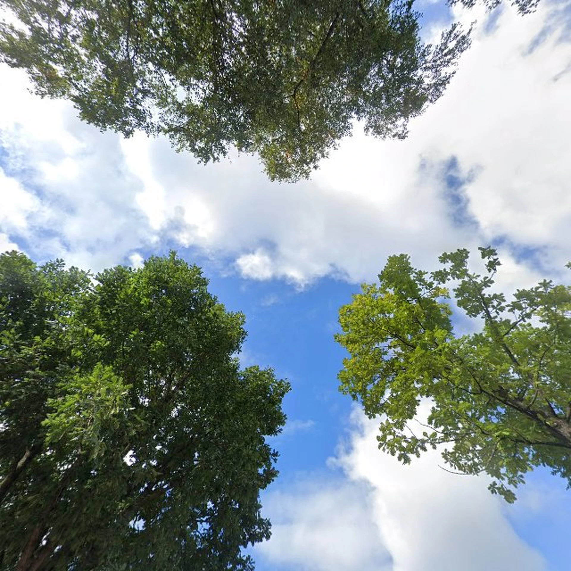 Kringloopwinkel Kringloopwinkel Huizen in Huizen