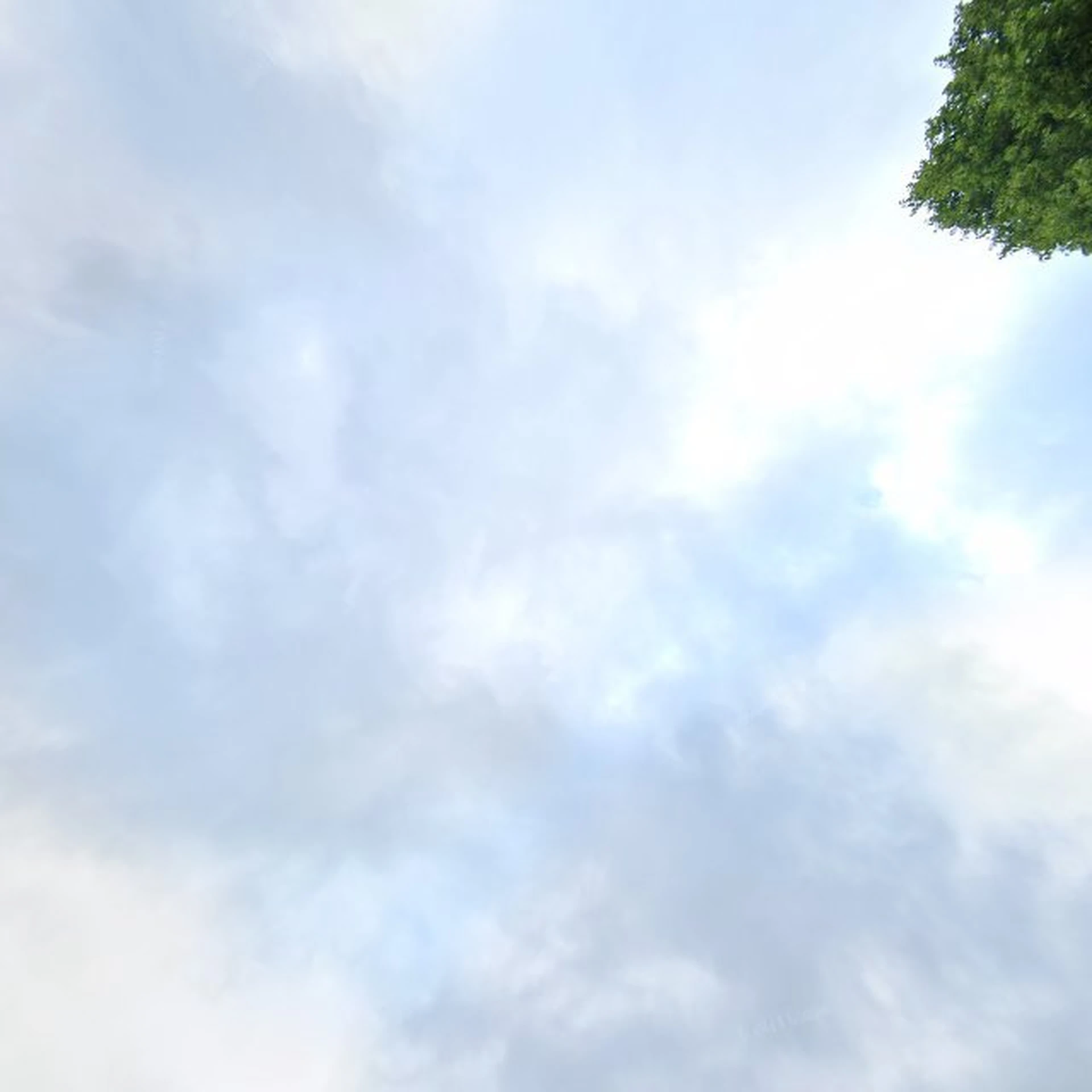 Kringloopwinkel Kringloopwinkel Hulst in Hulst