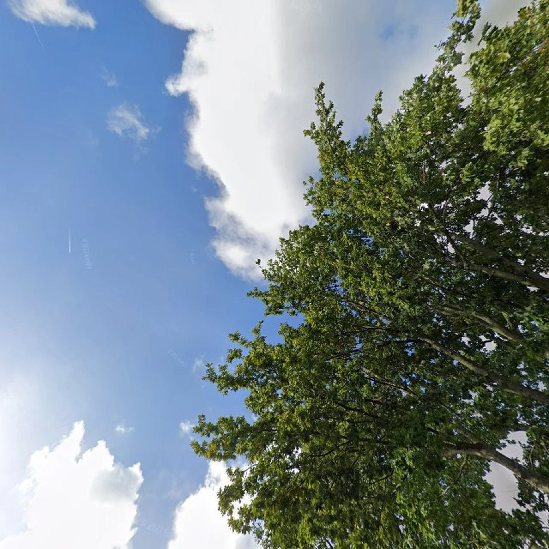 Kringloopwinkel Kringloopwinkel IJsseldijk in Krimpen aan den IJssel