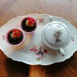 Witte porseleinen serveerschaal met bloemmotief, twee roze potjes met cactussen en een theepot.