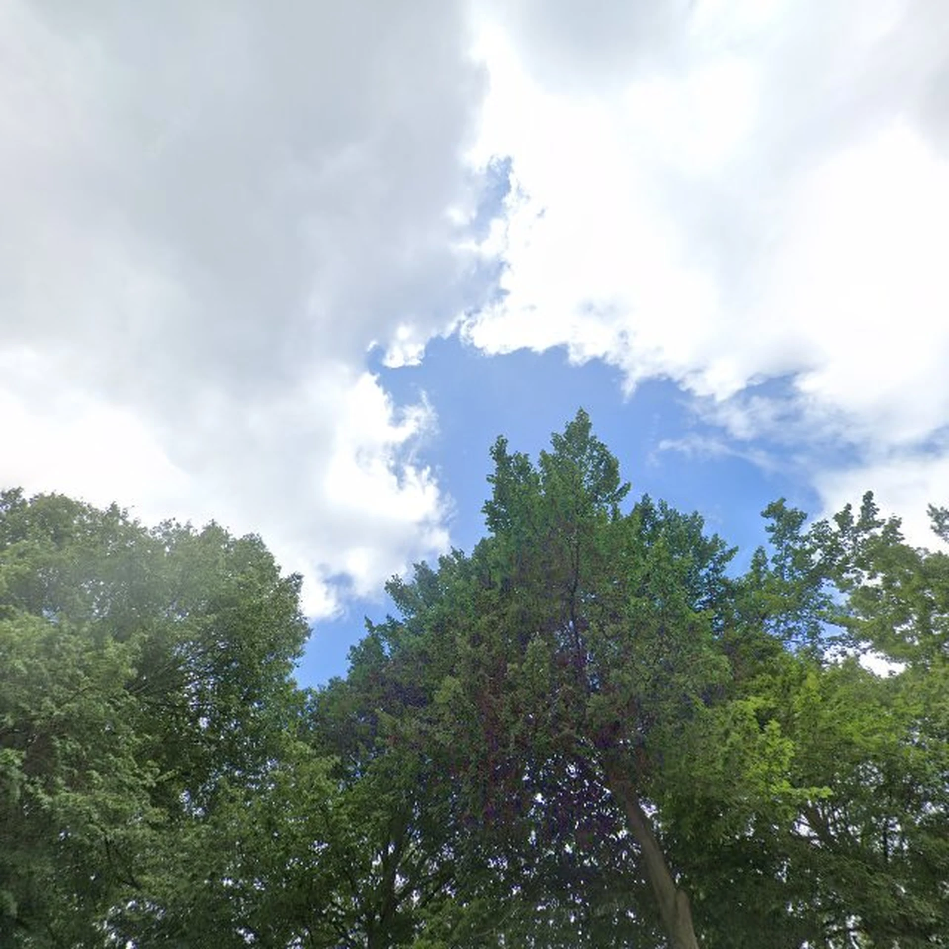 Kringloopwinkel Kringloopwinkel La Vida in Tilburg