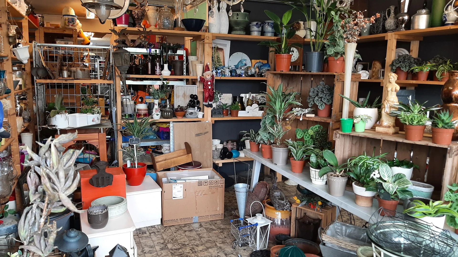 Volle stellingen met diverse artikelen, planten, dozen en spullen in een kringloopwinkel