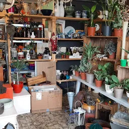 Volle stellingen met diverse artikelen, planten, dozen en spullen in een kringloopwinkel