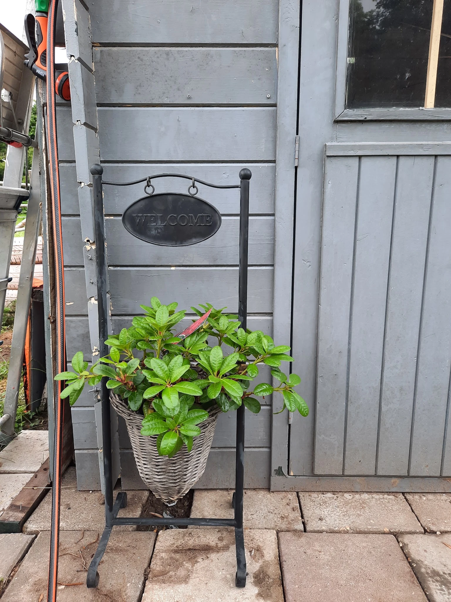 Groene plant in witte pot voor een zwarte metalen welkomsbord