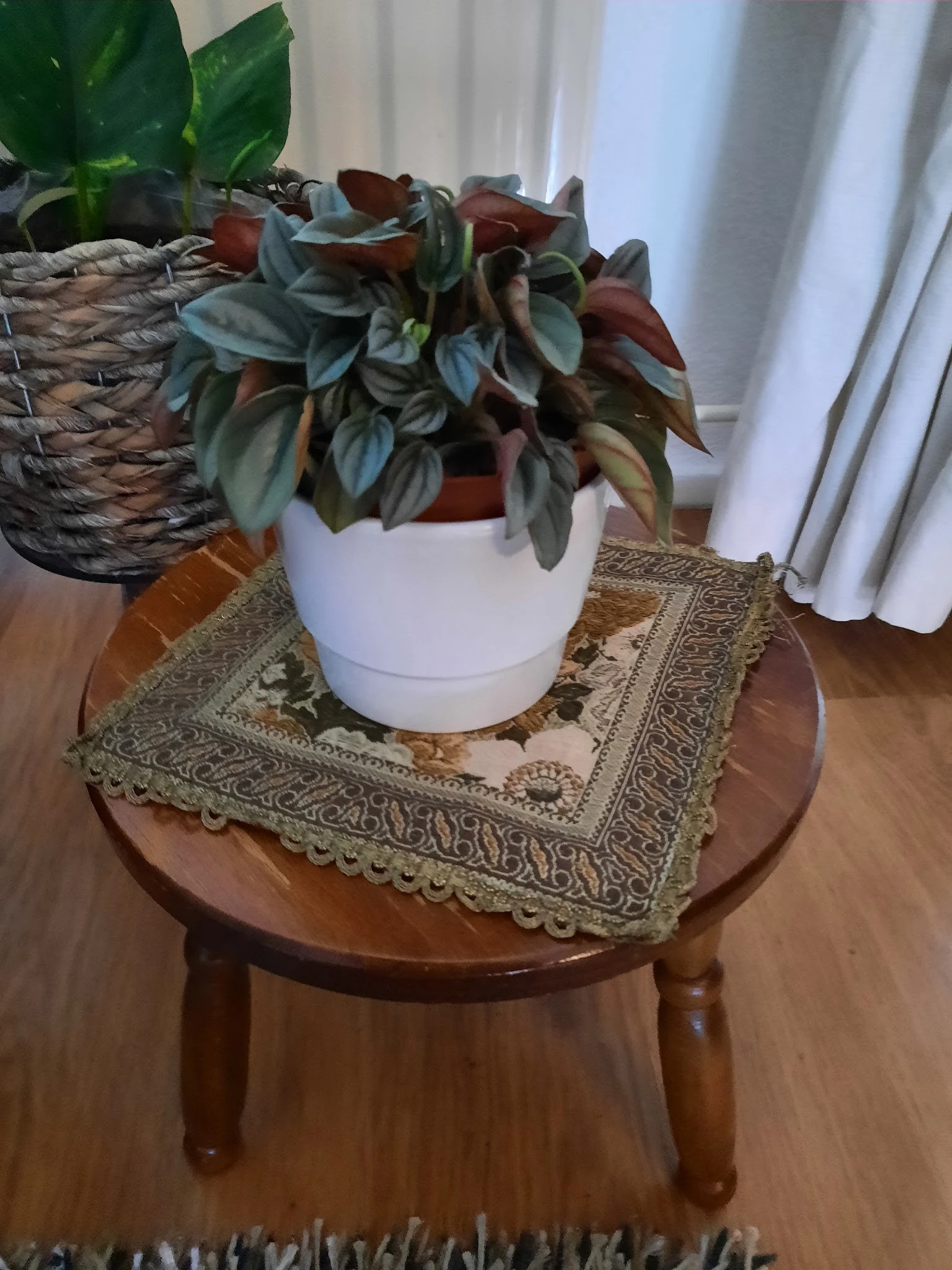 Witte plantenpot met bladplanten op houten tafel met decoratief kleedje