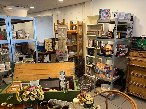 Winkelvloer met houten meubels, metalen stellingen met boeken en spullen, en decoratieve items op de toonbank