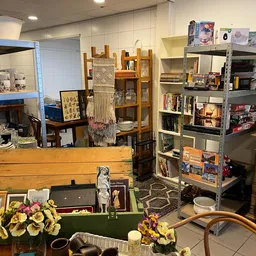 Winkelinterieur met diverse meubels, stellingen met boeken en spullen, houten kasten en groen tapijt