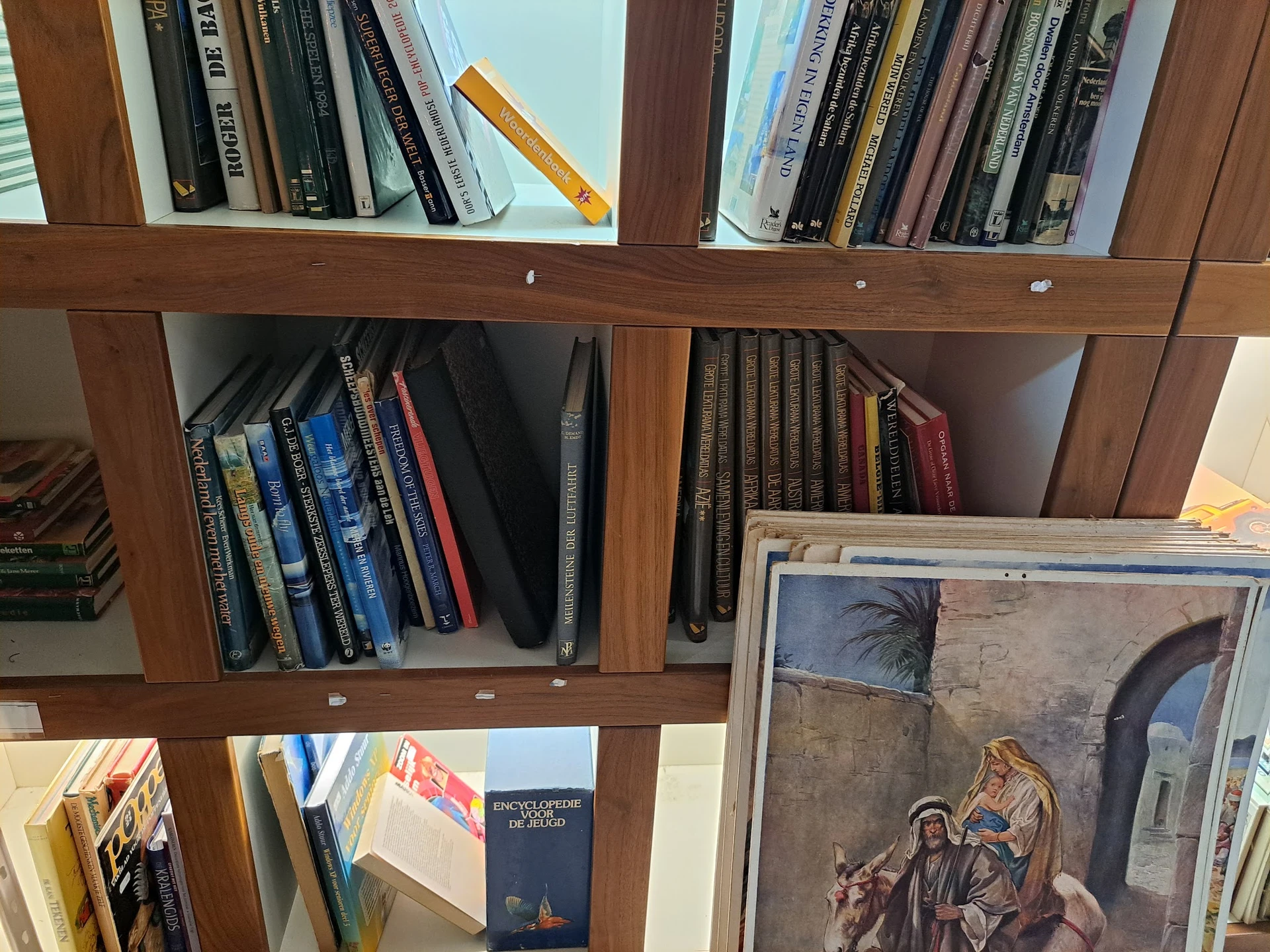 Houten boekenkast met dvd's, blu-rays en boeken in verschillende vakken