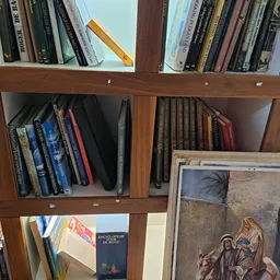 Houten boekenkast met dvd's, blu-rays en boeken in verschillende vakken