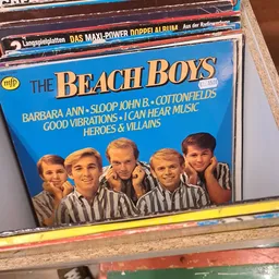 The Beach Boys LP-verzameling in originele hoes op een plank