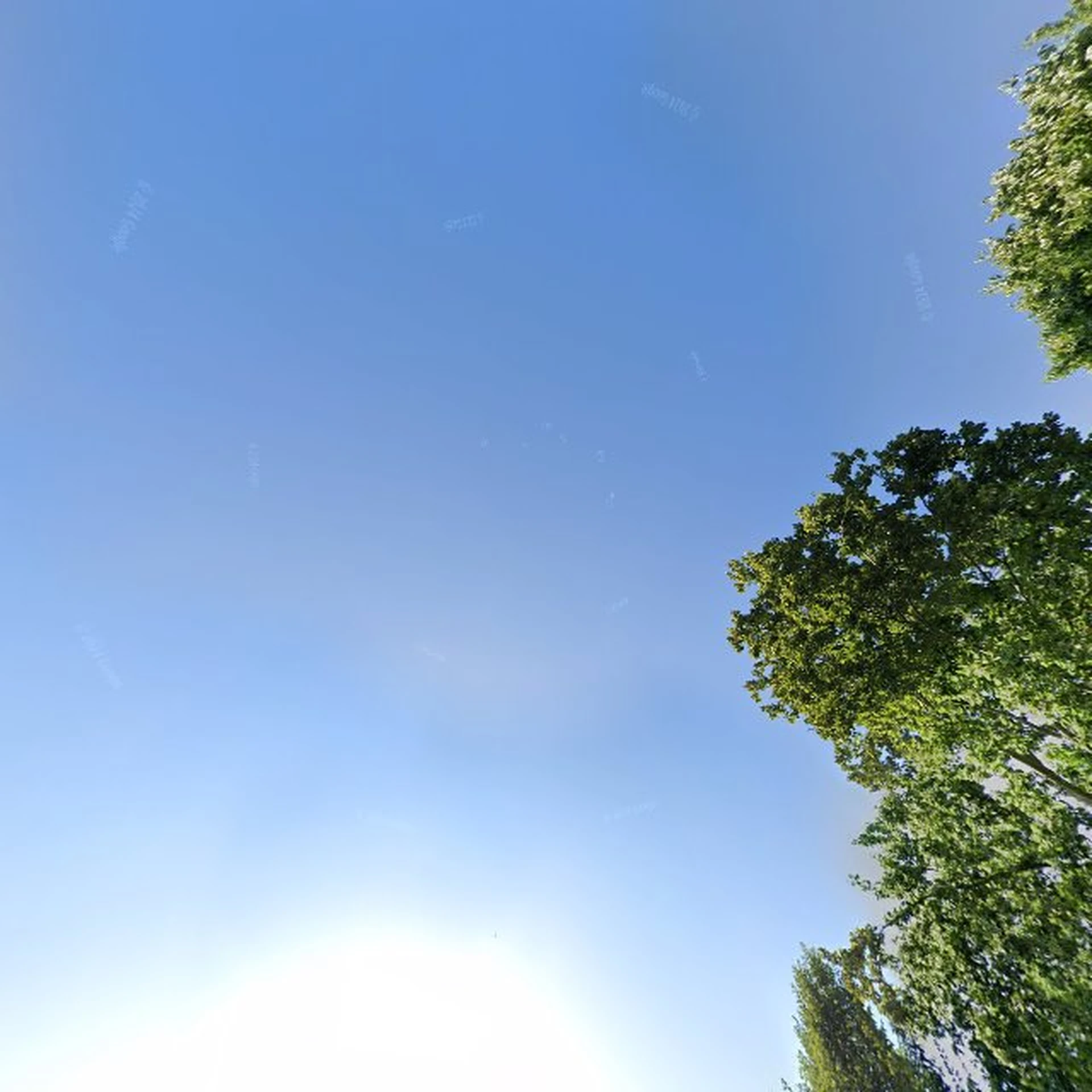 Kringloopwinkel Kringloopwinkel Maasbracht in Maasbracht