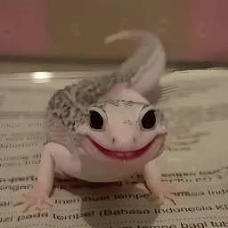 Bezoeker foto van Kringloopwinkel Marcel in Nijmegen