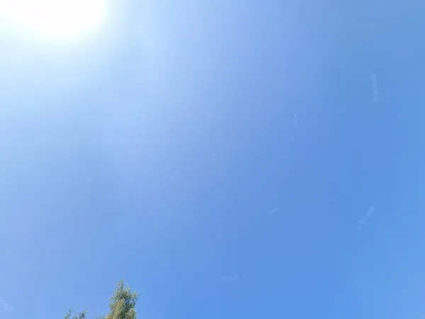 Kringloopwinkel Kringloopwinkel Mazzeltje in Veenendaal