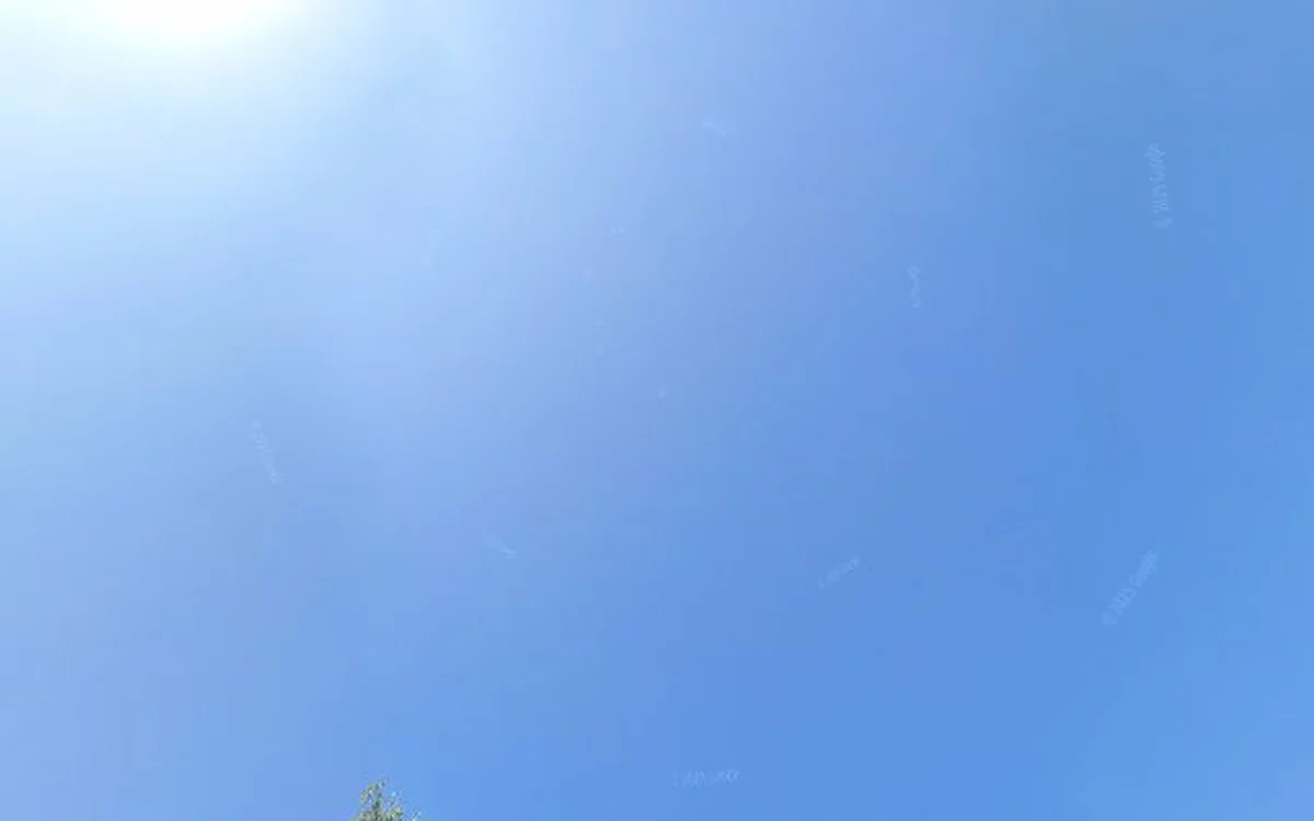 Kringloopwinkel Kringloopwinkel Mazzeltje in Veenendaal