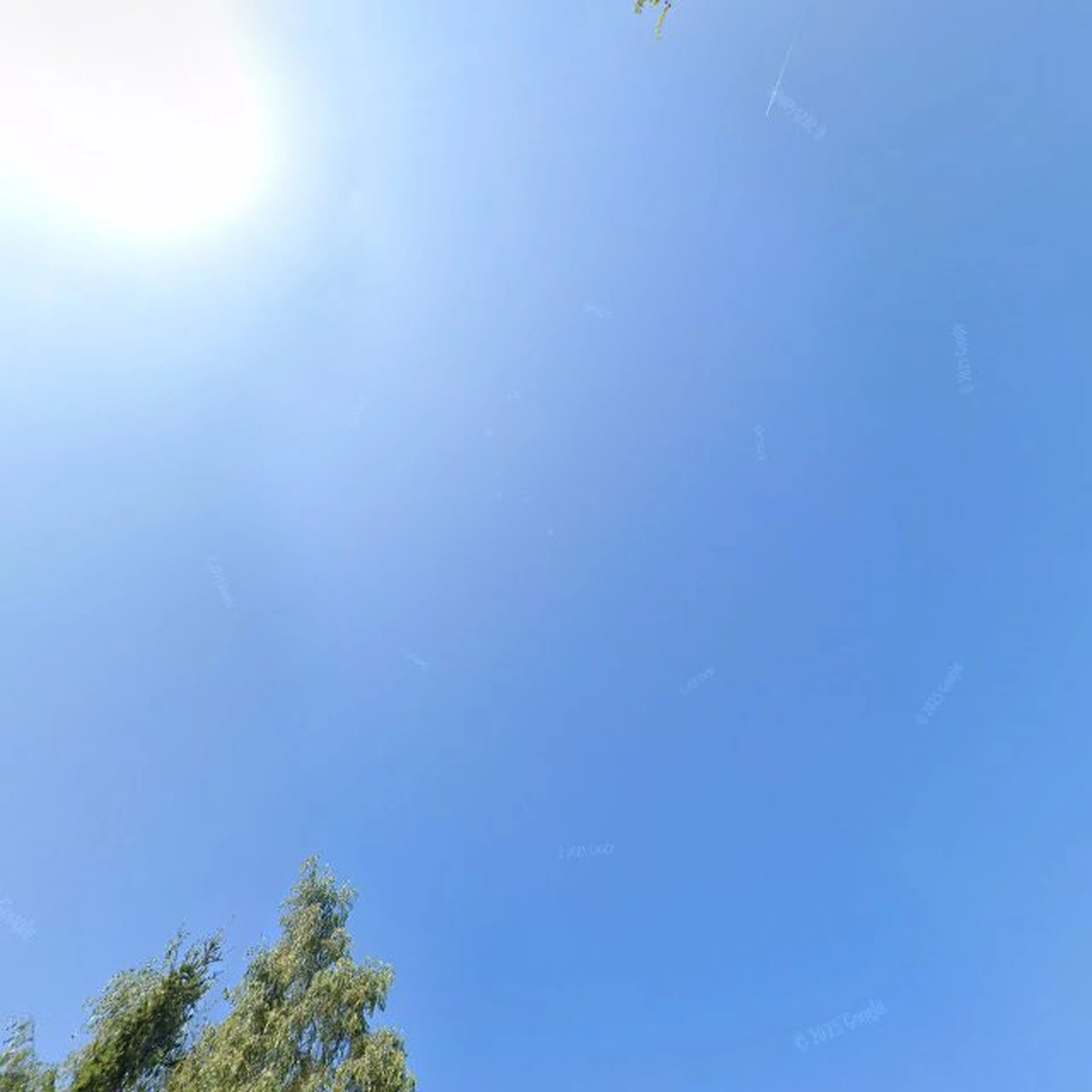 Kringloopwinkel Kringloopwinkel Mazzeltje in Veenendaal