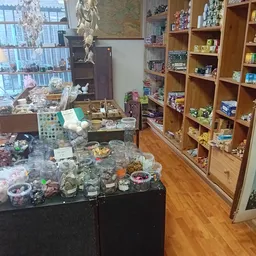 Winkelvloer met glazen vitrines vol verzamelbakjes en houten boekenkasten tegen de muur