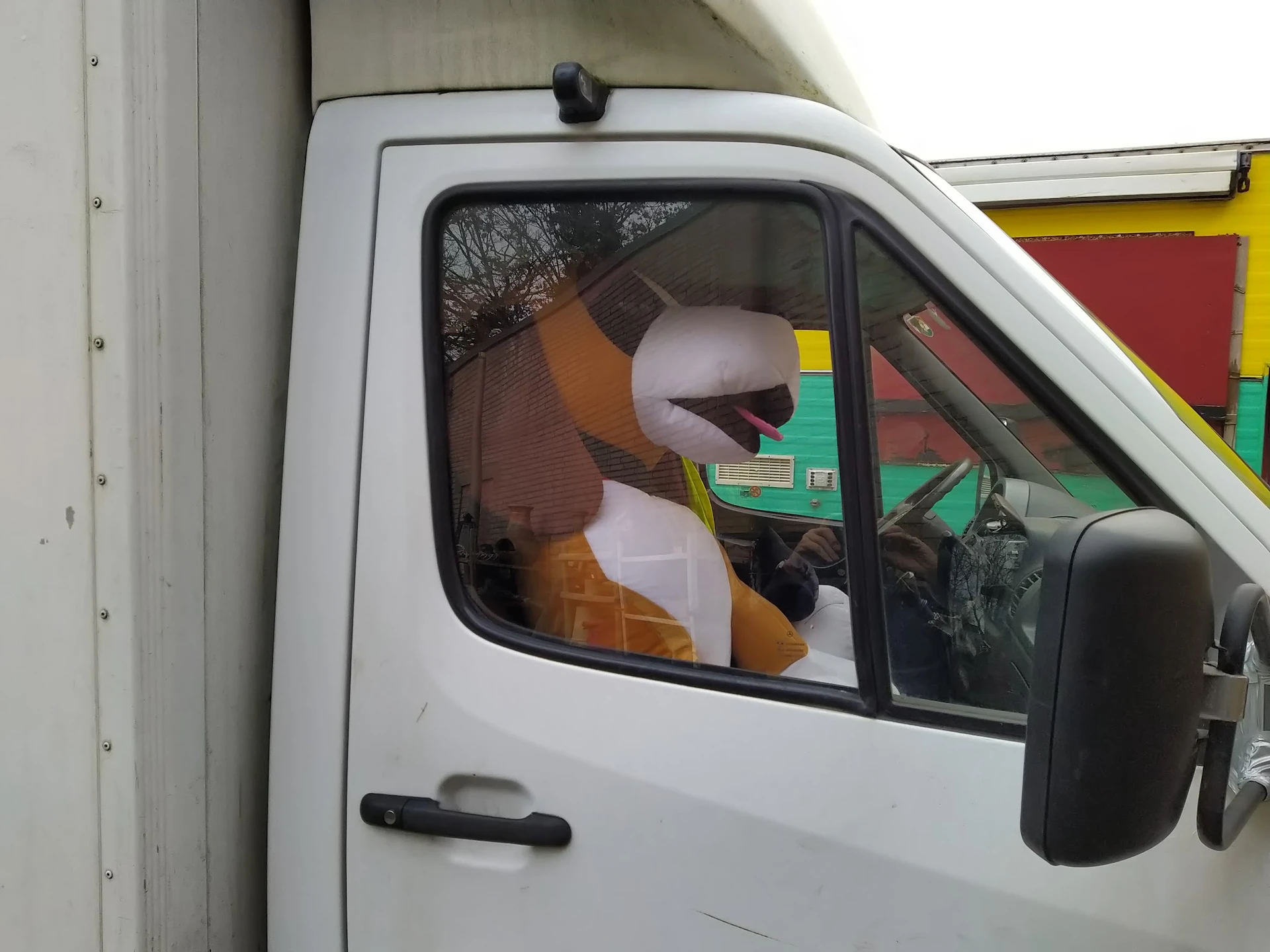 Bestuurder in witte bedrijfsbus met geopend raam