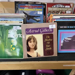 Uitgestalde vinyl platen en LP's op een plank, waaronder albums van Astrid Gilberto en andere artiesten