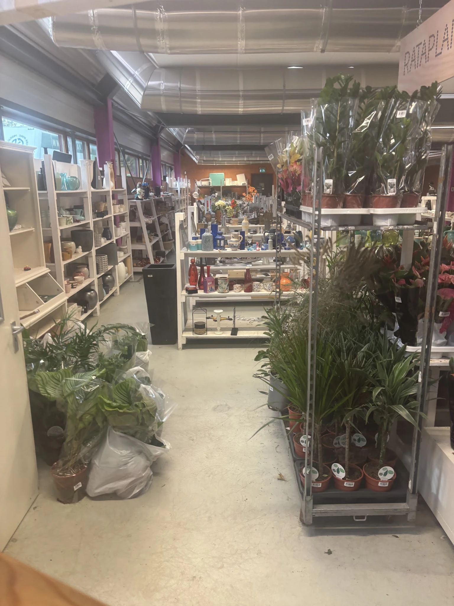 Winkelinterieur met stellingen, plantenbakken en winkelrekken met diverse artikelen