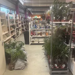 Winkelinterieur met stellingen, plantenbakken en winkelrekken met diverse artikelen