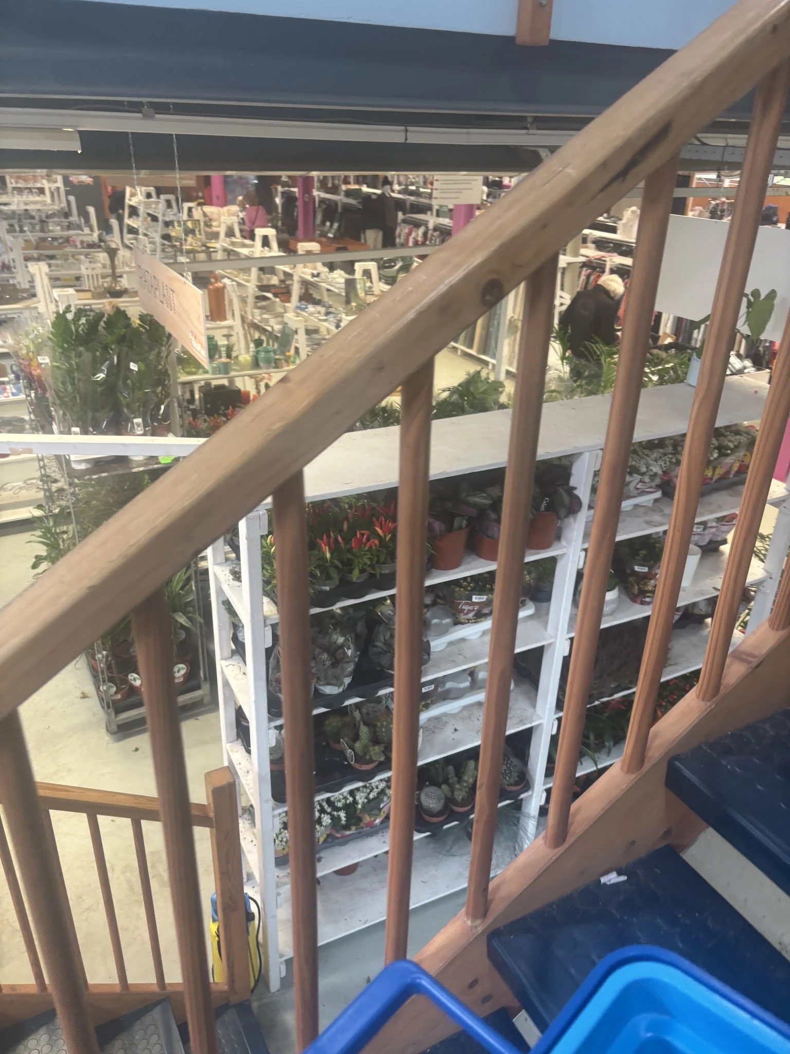 Plantenrekken op een balkon met uitzicht op de stad