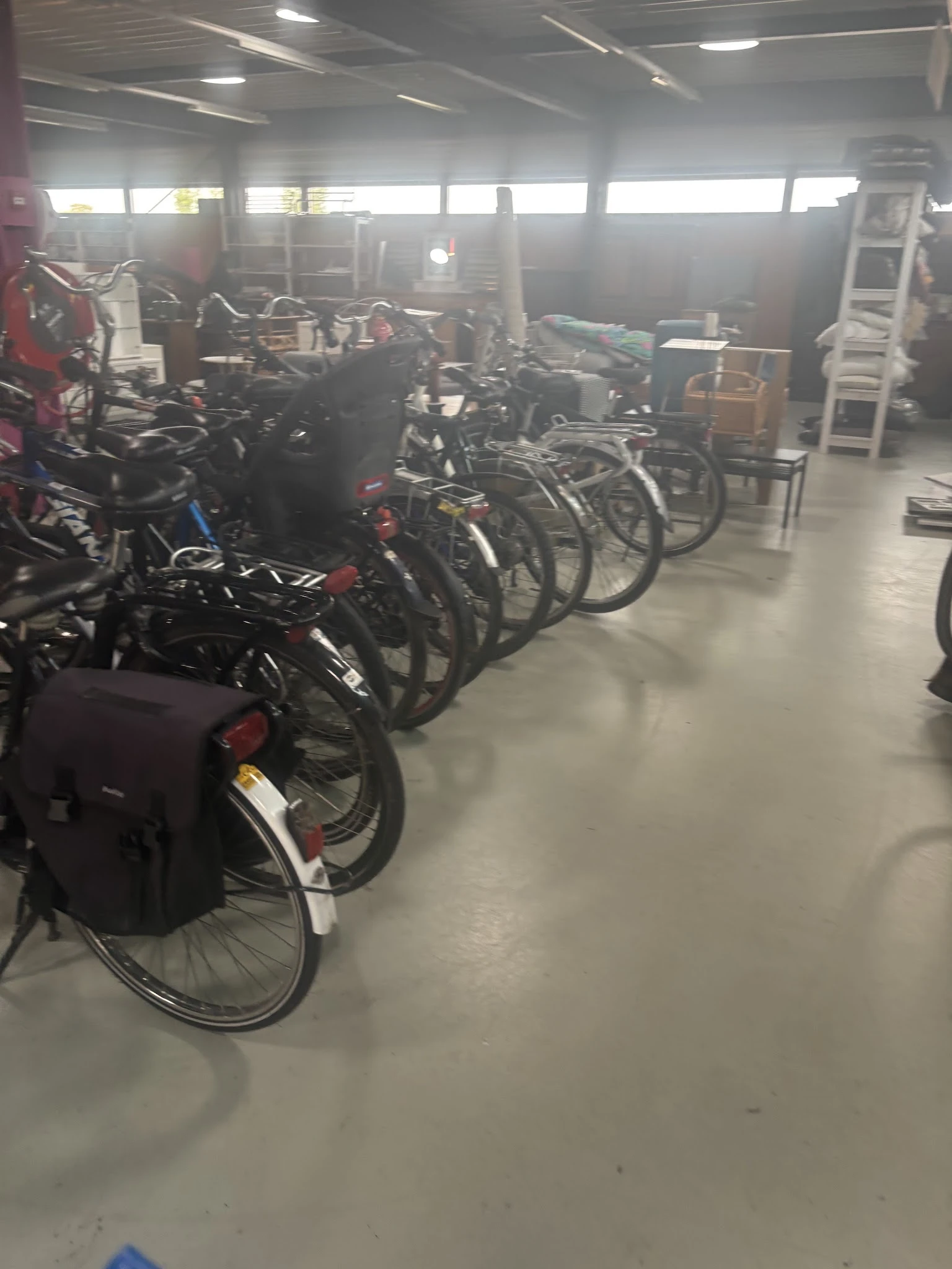 Rij met zwarte en gekleurde fietsen uitgestald in de winkel