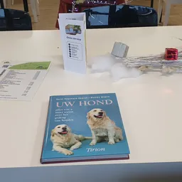 Tafel met tweedehands items: boek over honden, een brochure, decoratieve objecten en droogbloemen