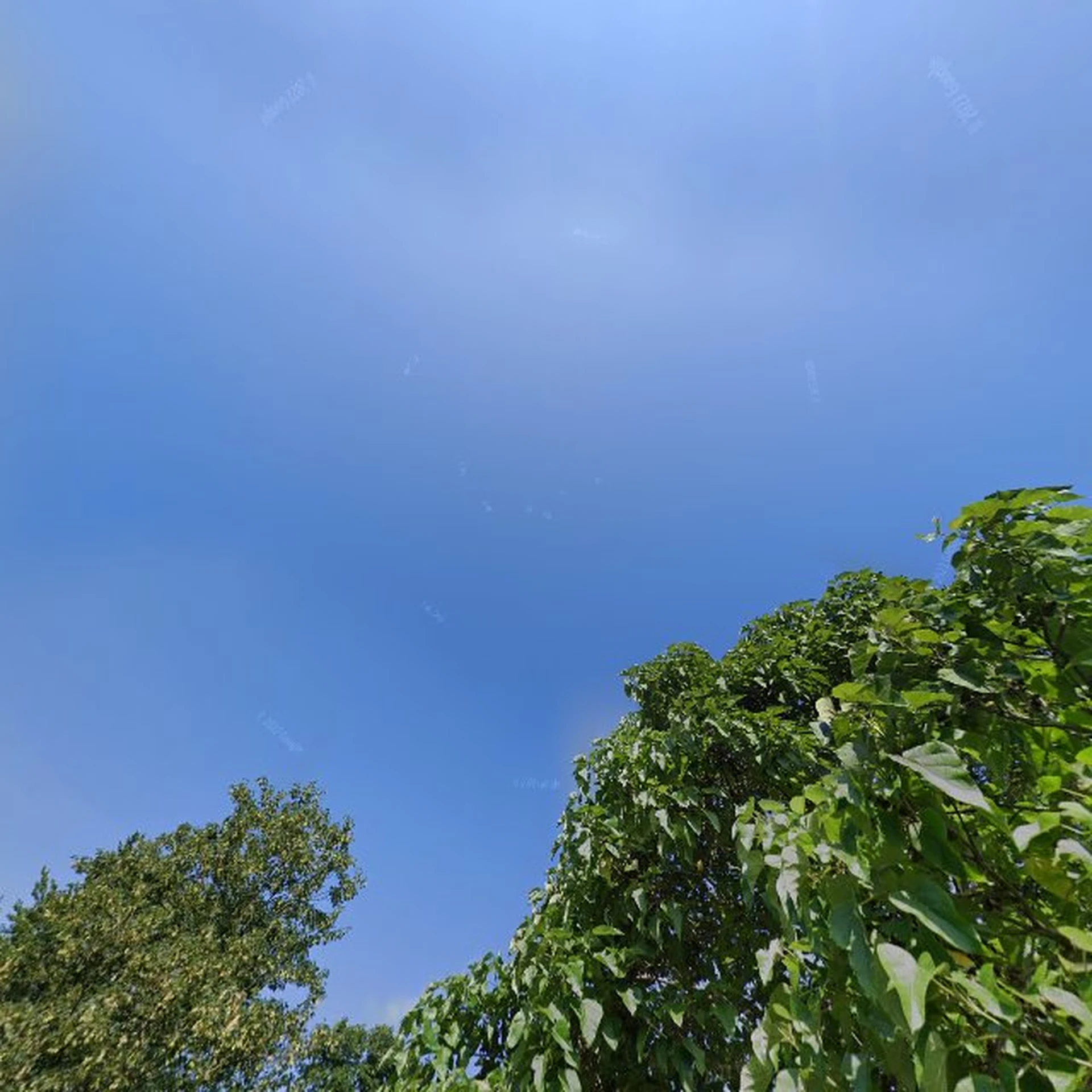 Kringloopwinkel Kringloopwinkel Ommeren in Ommeren