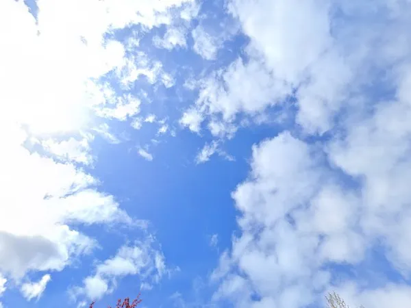 Kringloopwinkel Kringloopwinkel Ook GOED in Middelharnis