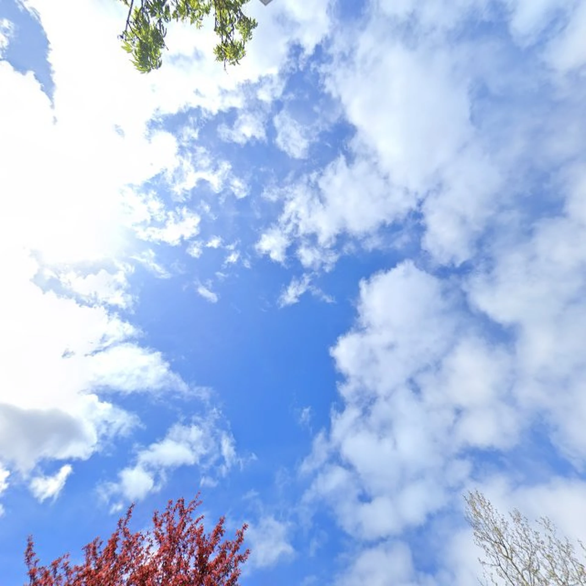 Kringloopwinkel Kringloopwinkel Ook GOED in Middelharnis