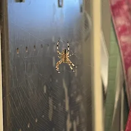 Bezoeker foto van Kringloopwinkel Oosterhout in Oosterhout