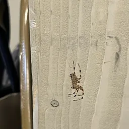 Bezoeker foto van Kringloopwinkel Oosterhout in Oosterhout