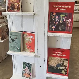 Boekenrek met tweedehands boeken en affiches in een kringloopwinkel
