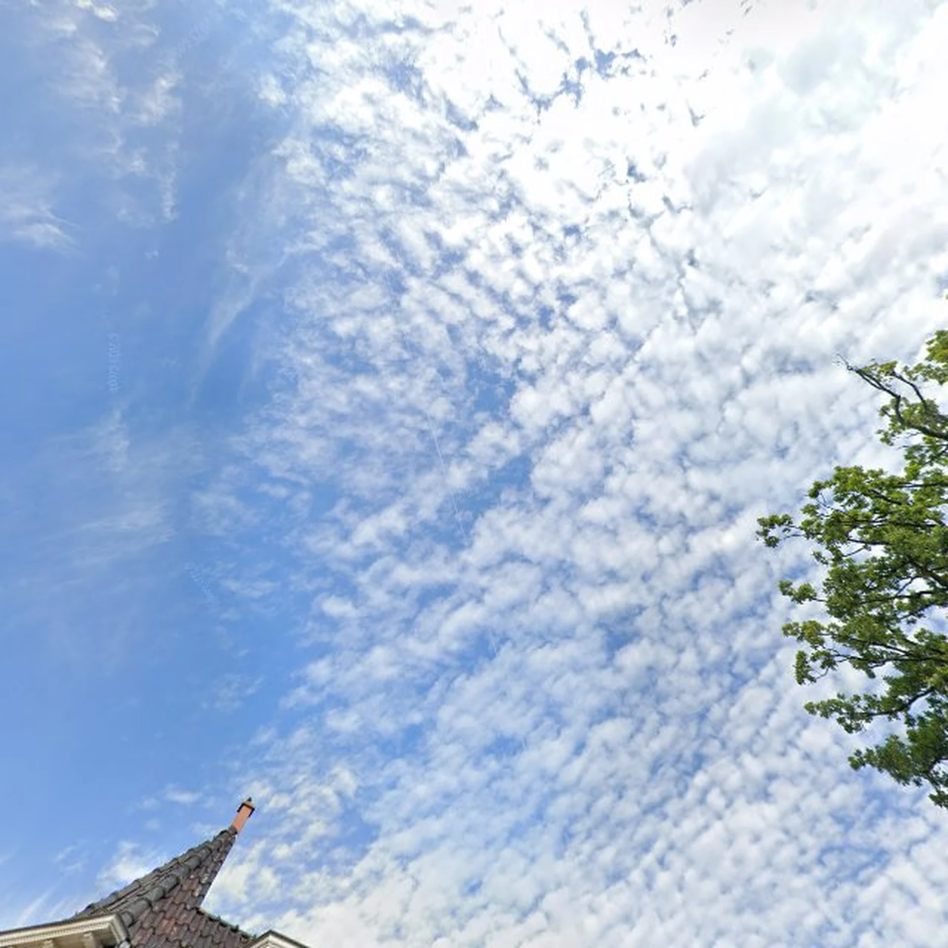 Kringloopwinkel Kringloopwinkel Palm in Zuidhorn