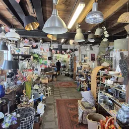 Binnenaanzicht van kringloopwinkel met lampen aan plafond, stellingen, planken met diverse gebruiksartikelen en decorstukken
