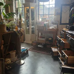 Binnenaanzicht van kringloopwinkel met houten meubels, plantenbak en verschillende rekken langs de wanden