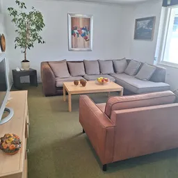 Woonkamer inrichting met grijze hoekbank, roze fauteuil en houten salontafel