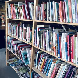 Houten stellingen gevuld met dvd's, blu-rays en cd's in verschillende kleuren en formaten