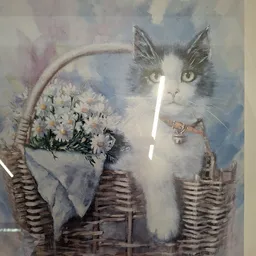 Kunstwerk of schilderij met dubbele belichting: kat's gezicht over manden met bloemen