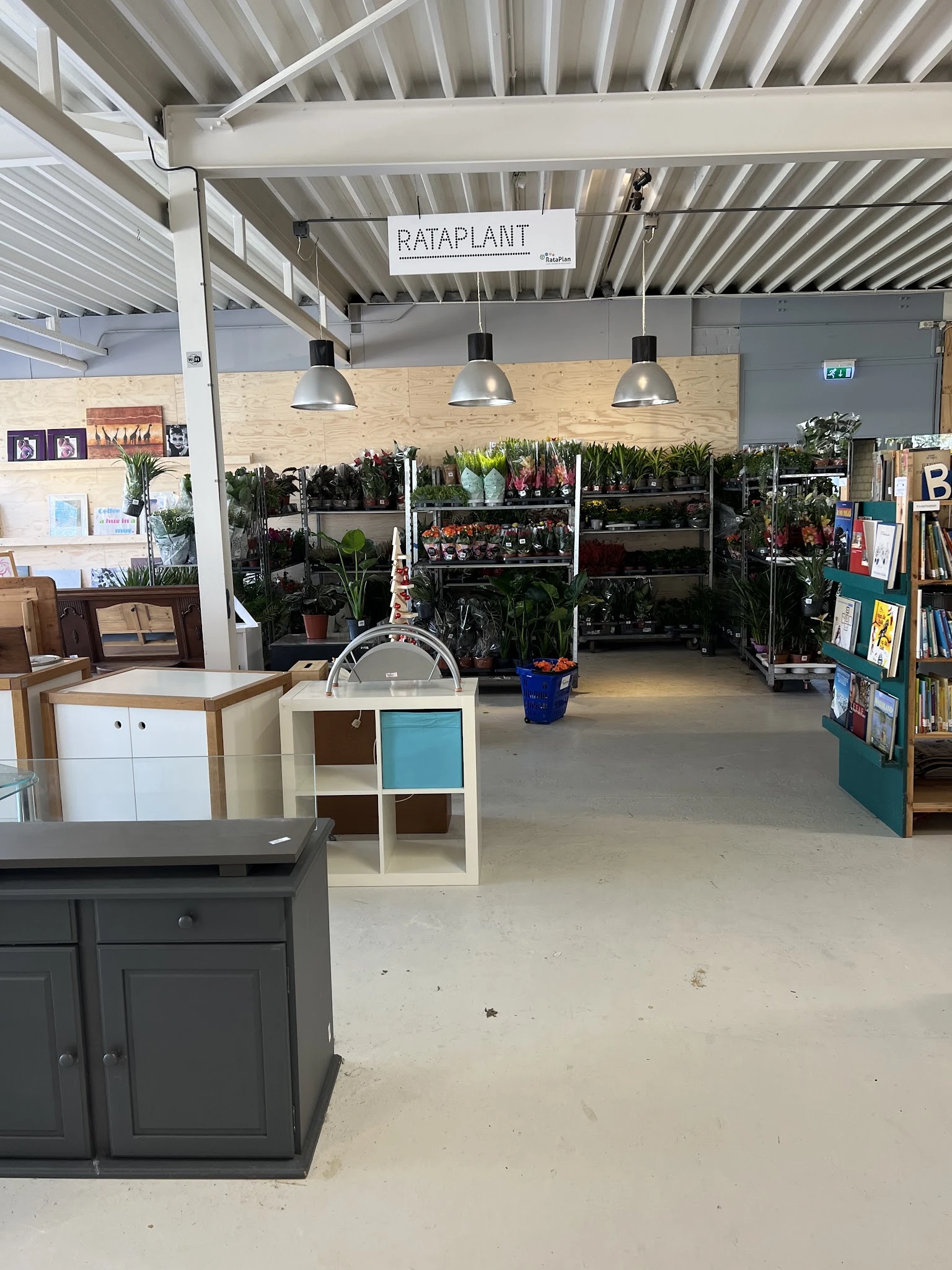 Winkelvloer met plantenrekken, kasten met servies, boekenrek en hangende lampen in kringloopwinkel