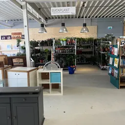 Winkelvloer met plantenrekken, kasten met servies, boekenrek en hangende lampen in kringloopwinkel