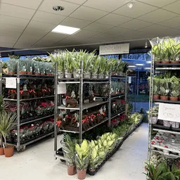 Bezoeker foto van Kringloopwinkel RataPlan Almere-Haven in Almere